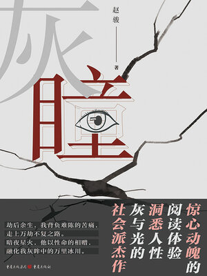cover image of 灰瞳